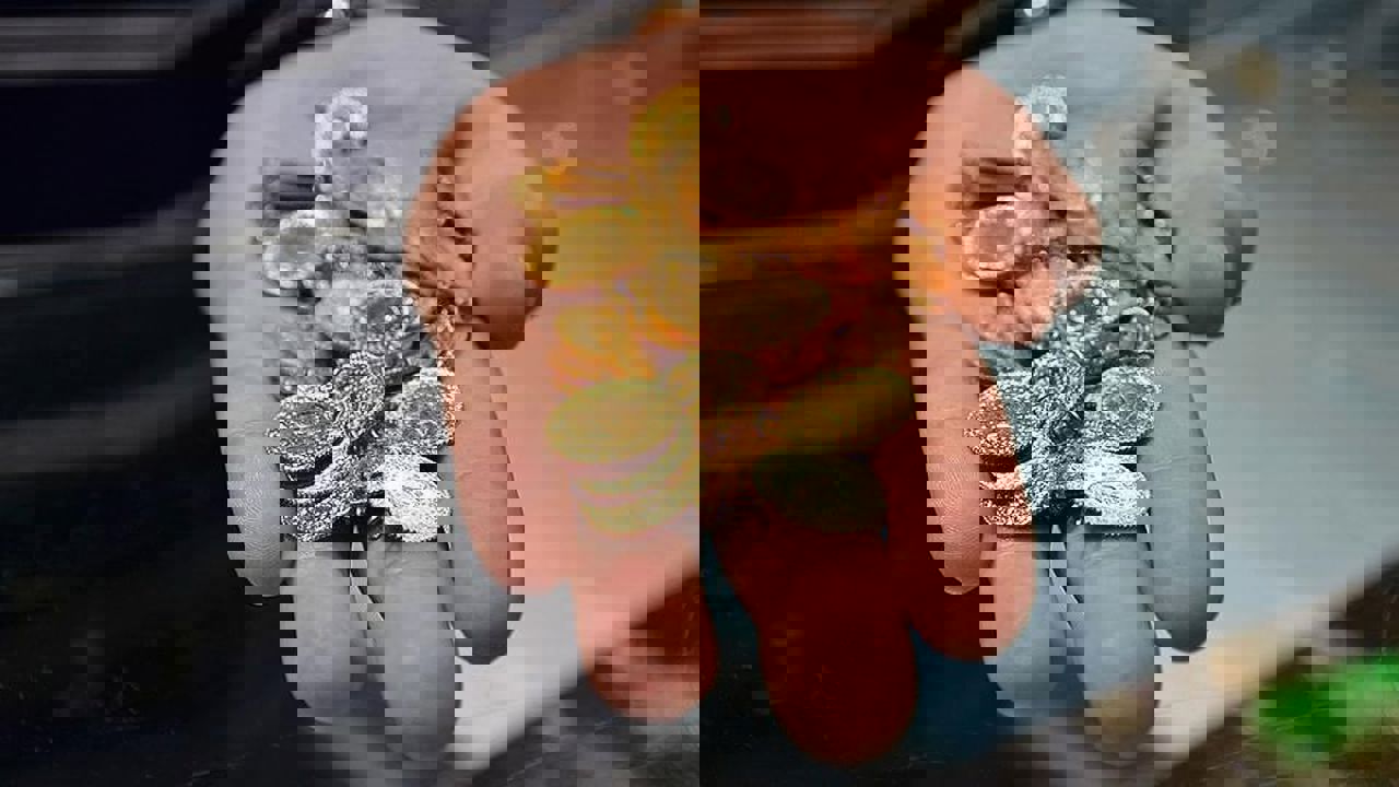 Gram altın 12 bin TL senaryosu